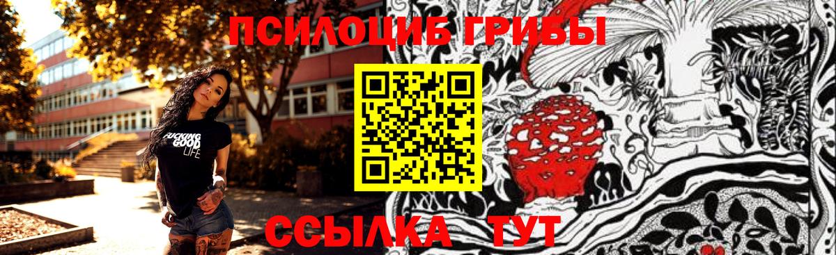 Галлюциногенные грибы мицелий Торжок